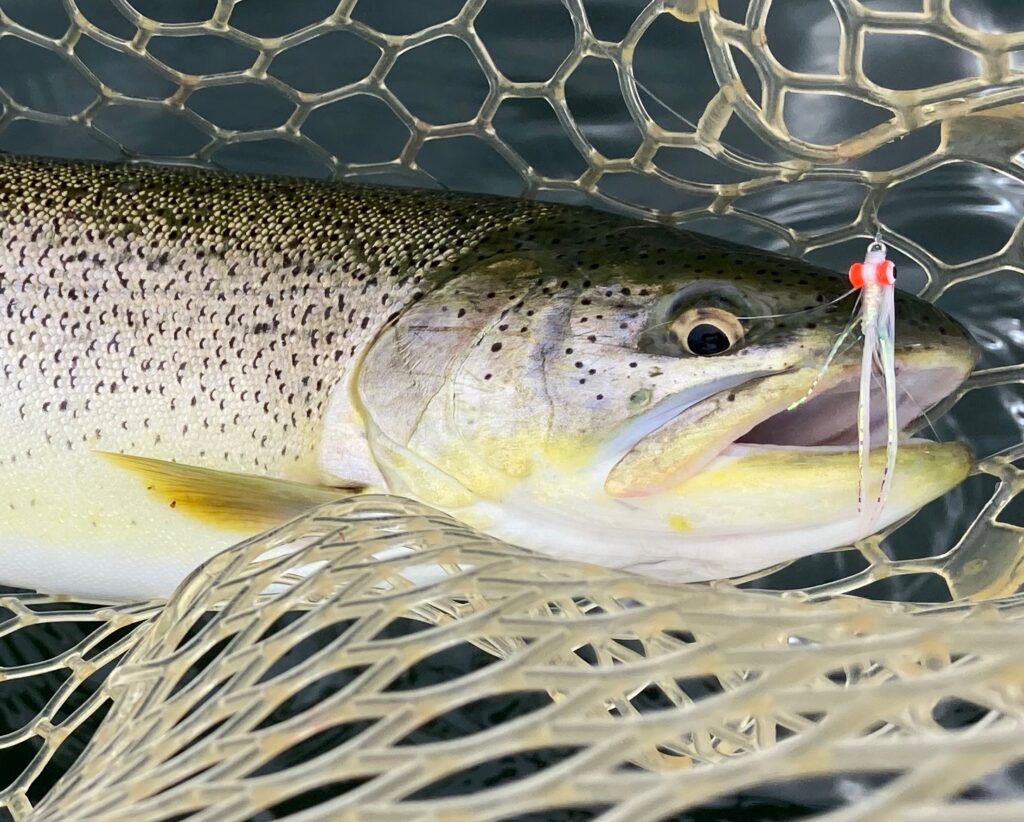 Guided Sea Run Cutthroat Fly Fishing Charter - Peninsula Outfitters